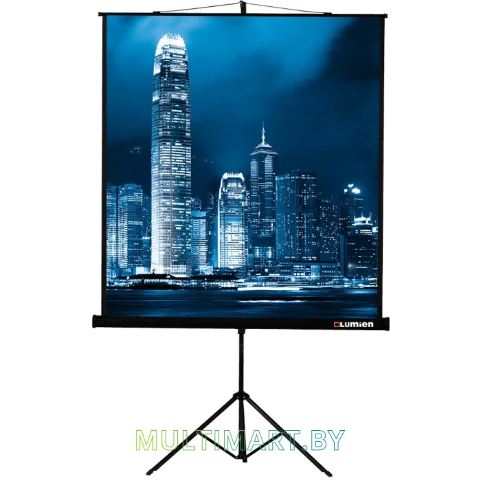 Проекционный экран Lumien Master View 244x244 (LMV-100105)